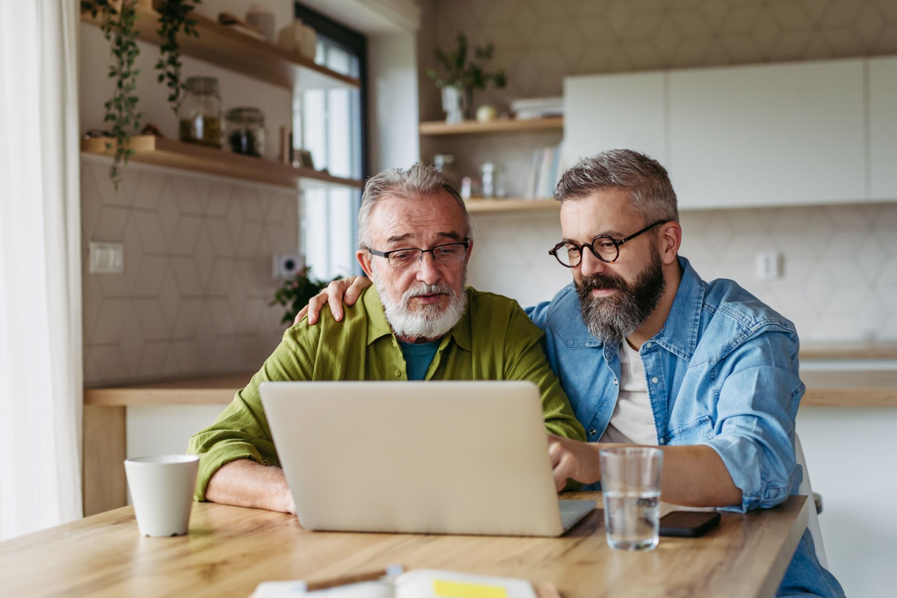 Adult man and his father looking at a computer